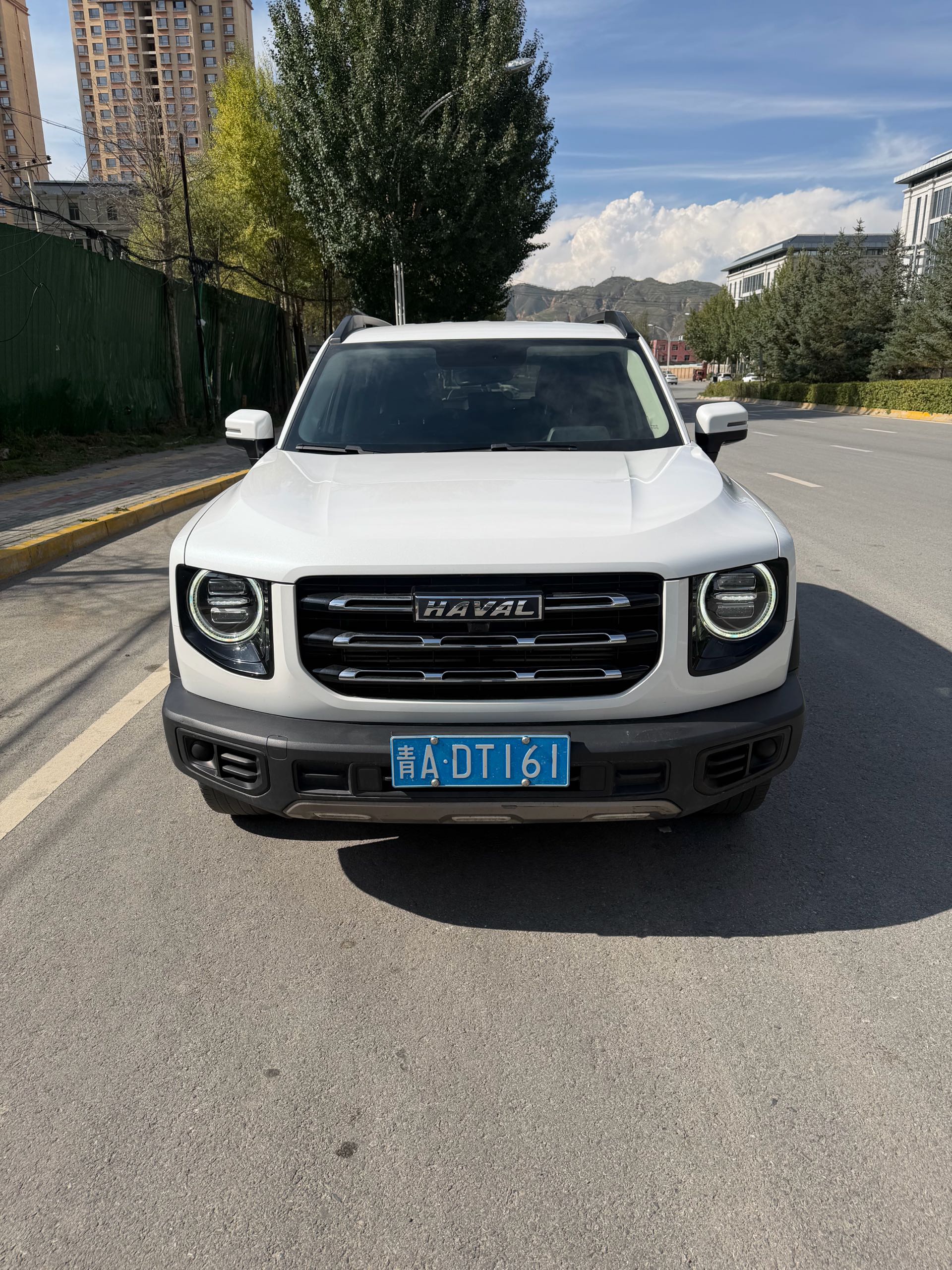 Haval Dargo Big Dog 1.5T Border Collie “Wang Cai” Edition foto 2