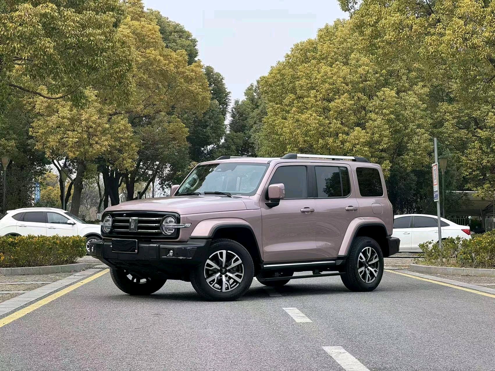 TANK Tank 300 2.0T Border Limited Edition