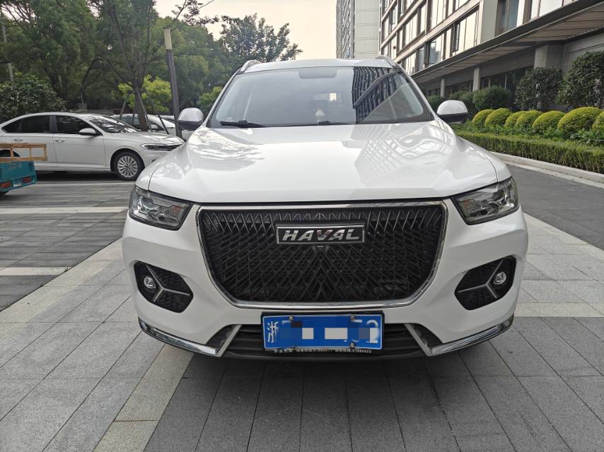 Haval 2021 H6 1.5T National Trend Edition Champion Edition photo 2