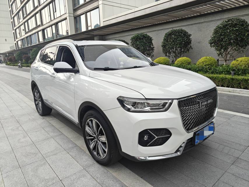 Haval 2021 H6 1.5T National Trend Edition Champion Edition photo 3
