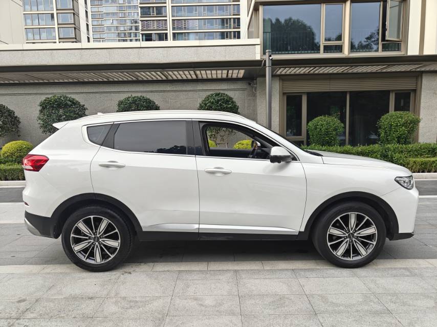 Haval 2021 H6 1.5T National Trend Edition Champion Edition photo 4
