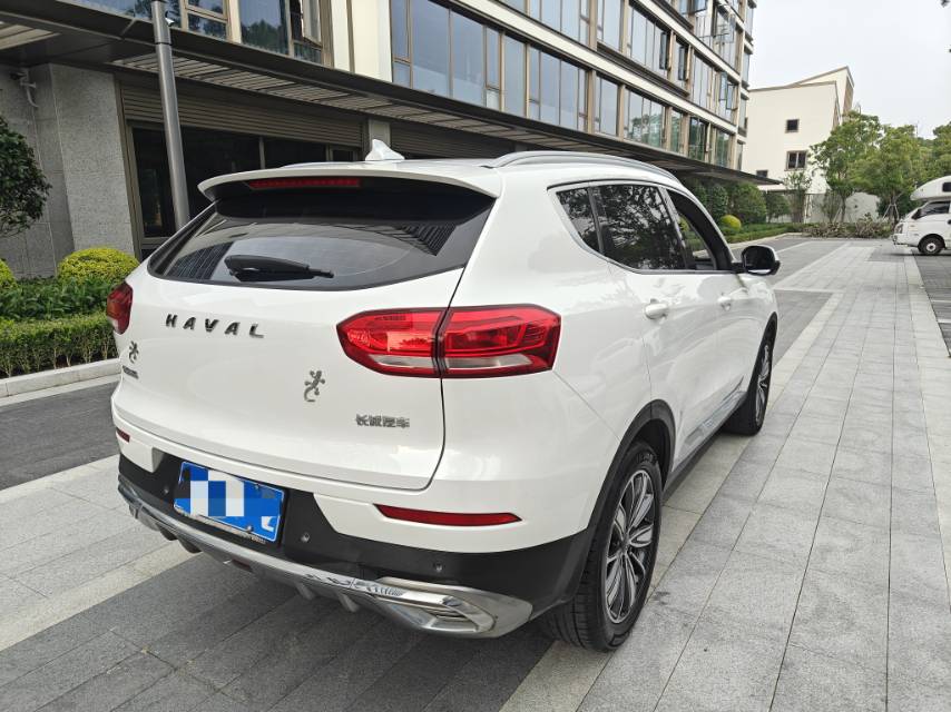 Haval 2021 H6 1.5T National Trend Edition Champion Edition photo 5