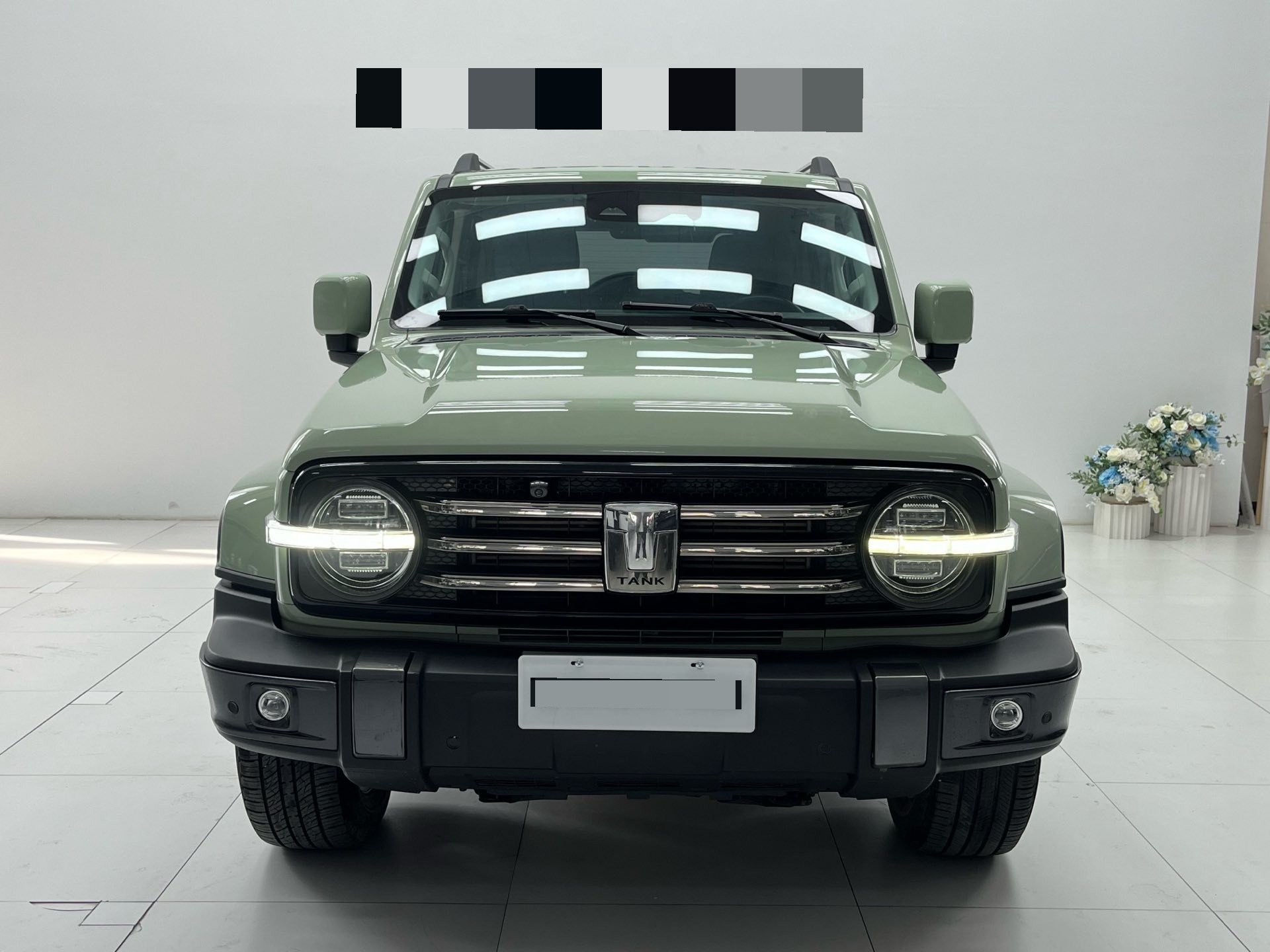 TANK Tank 300 2.0T Urban Edition—Looks Great photo 2