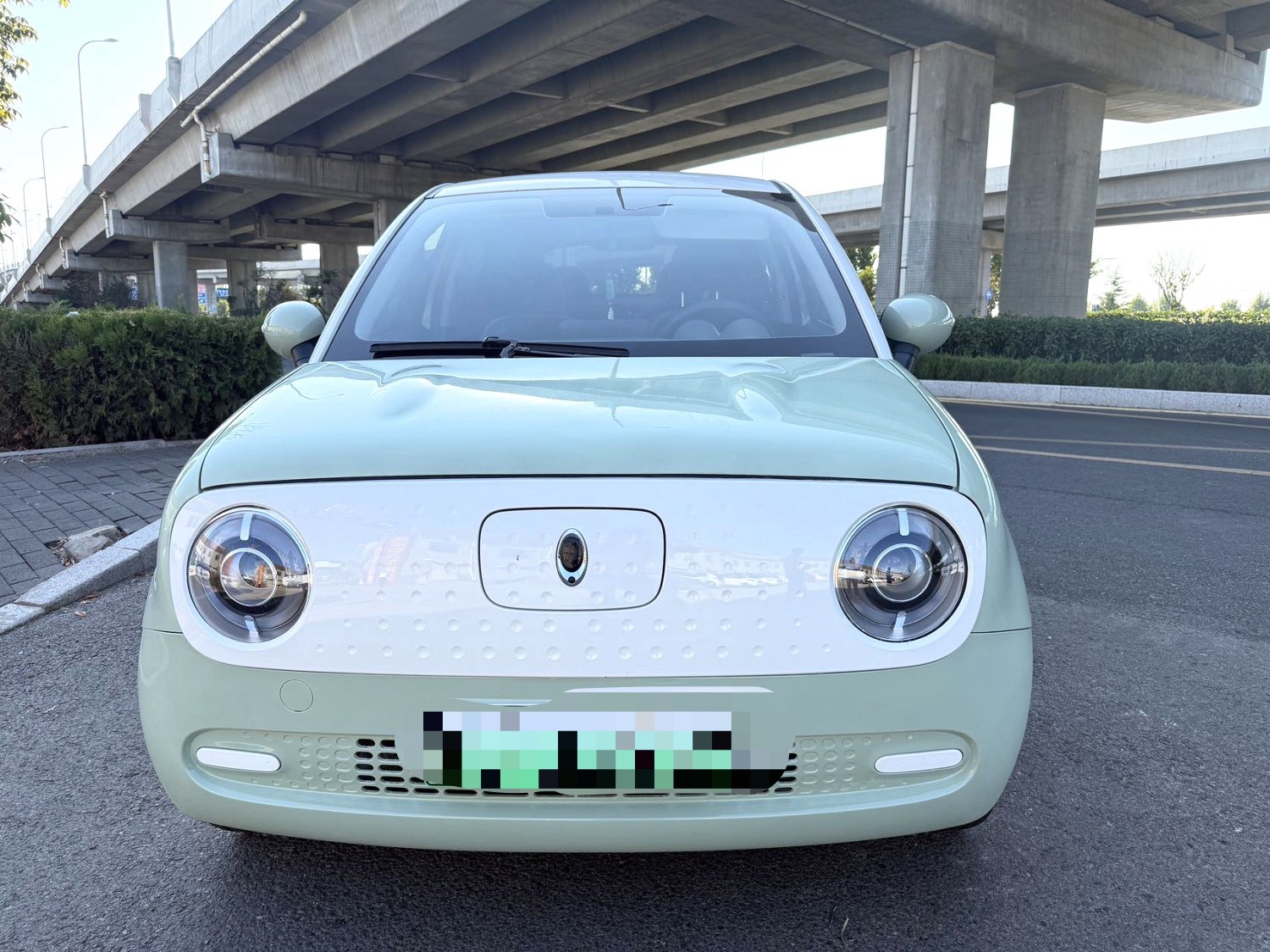 ORA 2022 R1 (Black Cat) 301km Cute Pet Edition photo 2