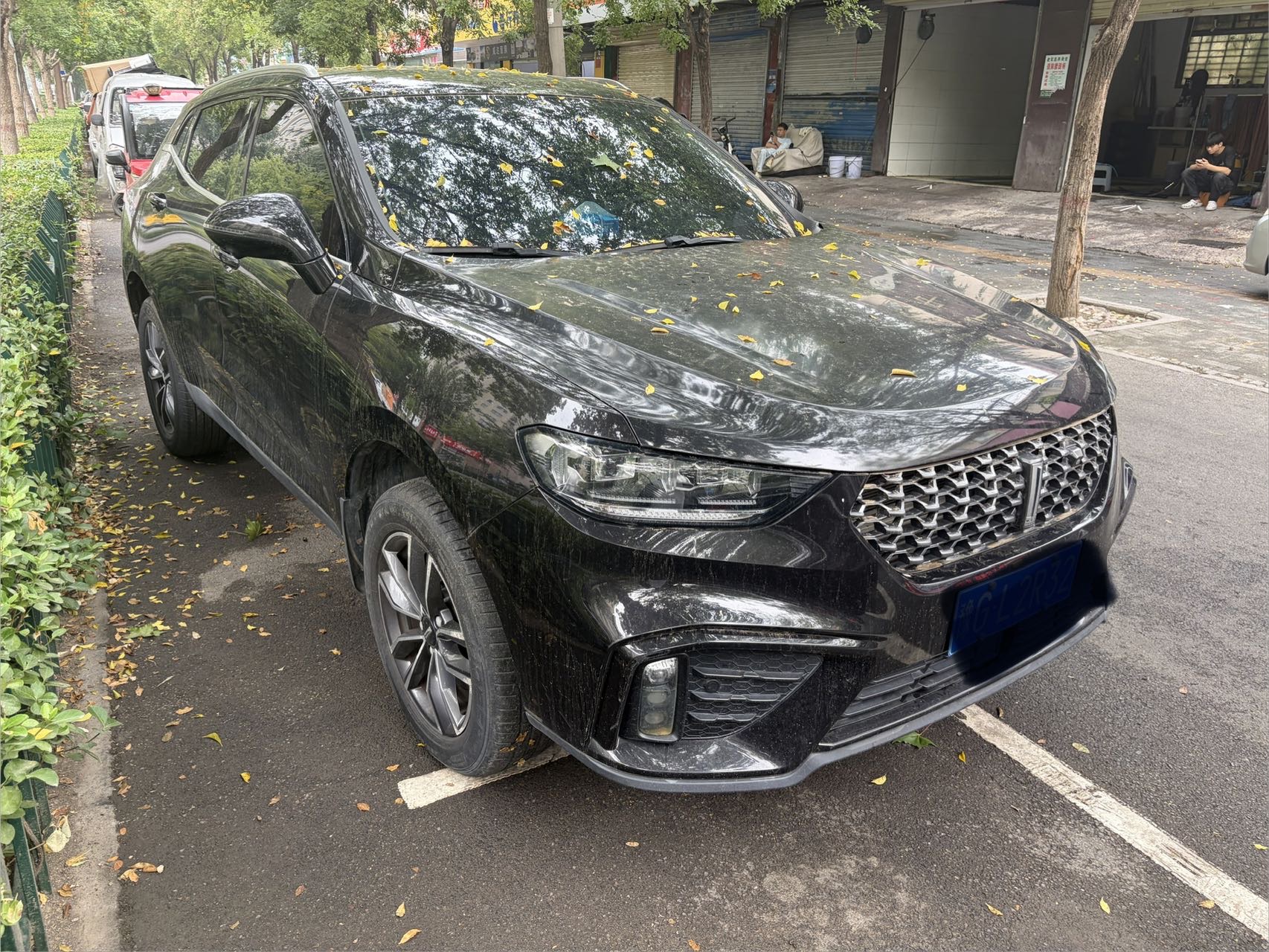 WEY 2020 VV5 1.5T 2WD Trend Pioneer photo 3