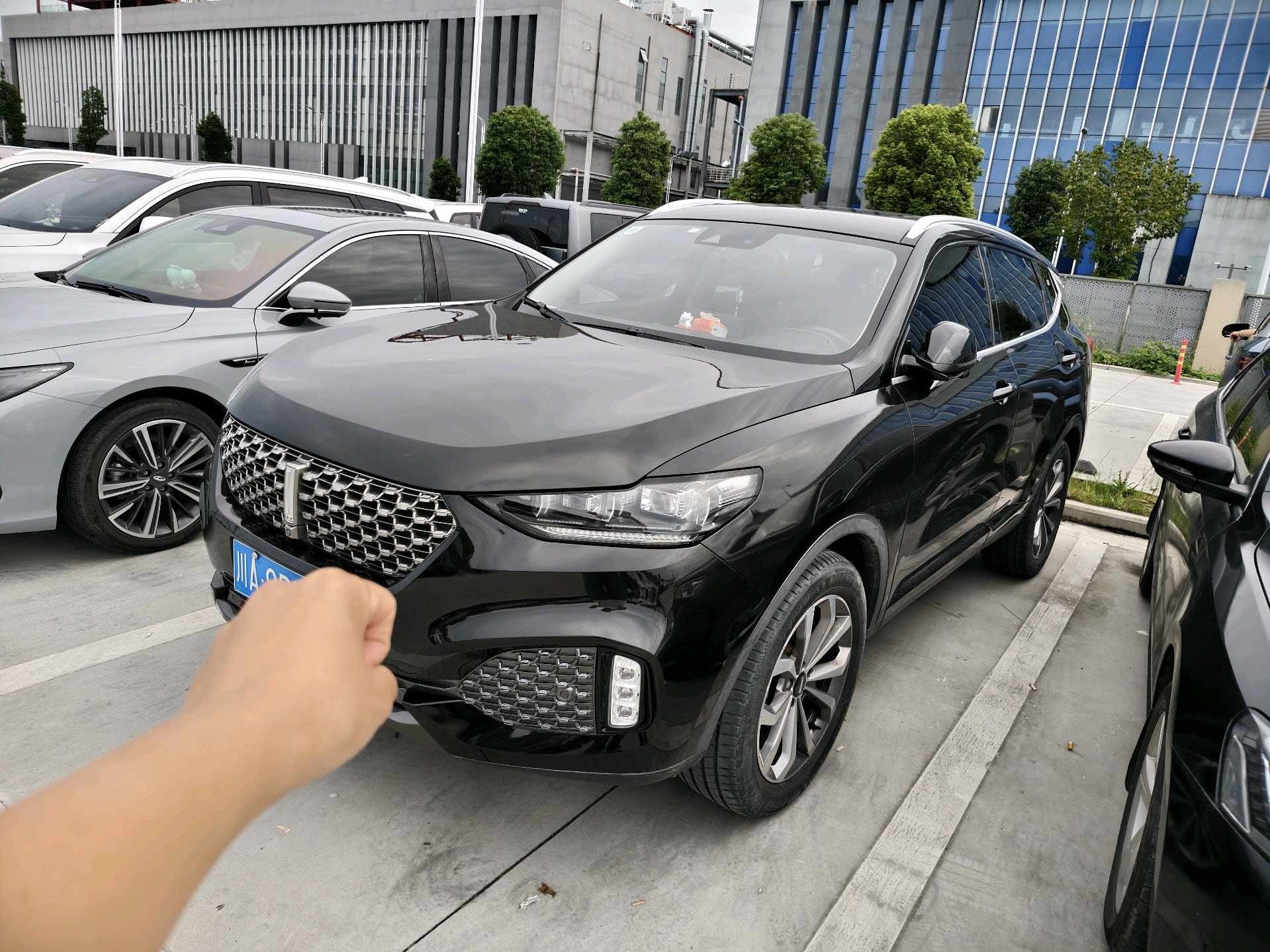 WEY 2020 VV6 2.0T Two-Wheel-Drive Zhihu+