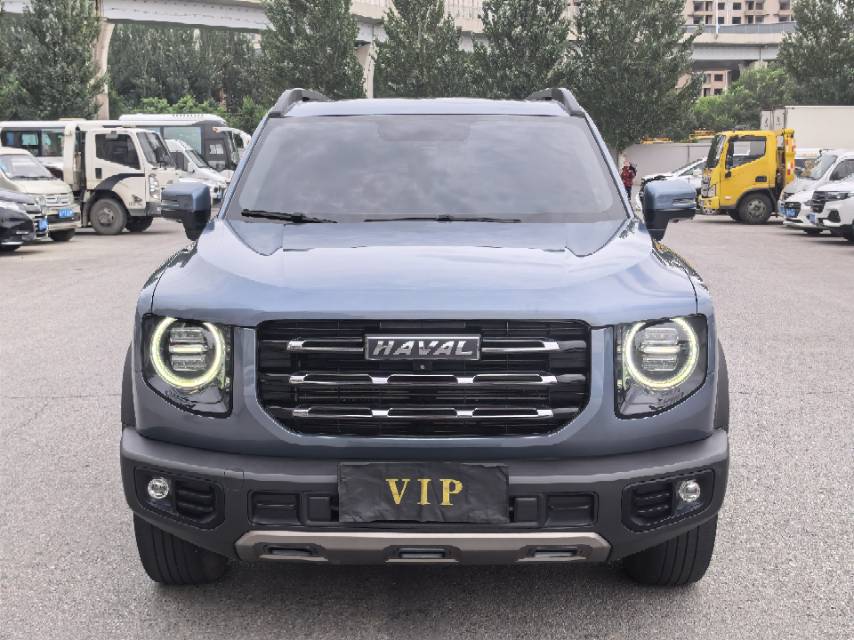 Haval Dargo 2021 Big Dog 1.5T Border Collie “Wang Cai” Edition photo 2