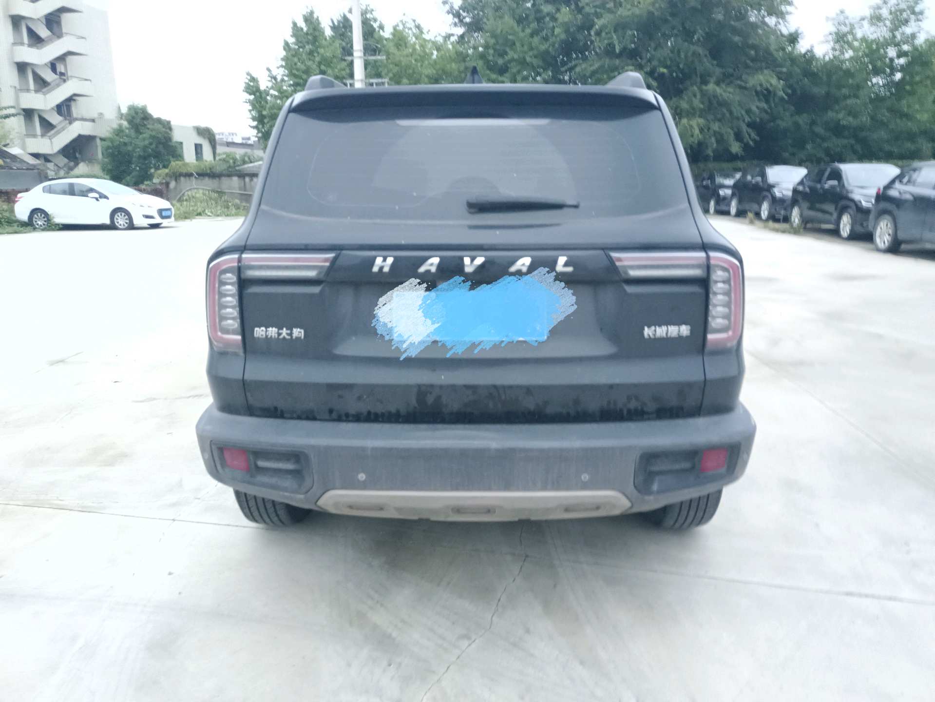 Haval Dargo 2022 Tank 300 1.5T 2WD Labrador Edition photo 4