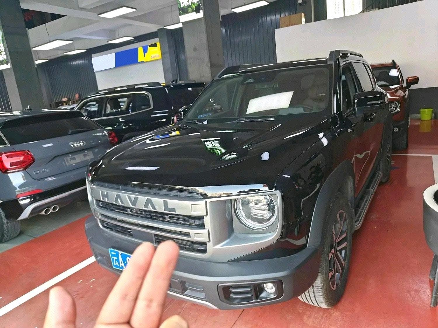 Haval Dargo 2024 Big Dog 1.5T Labrador Edition