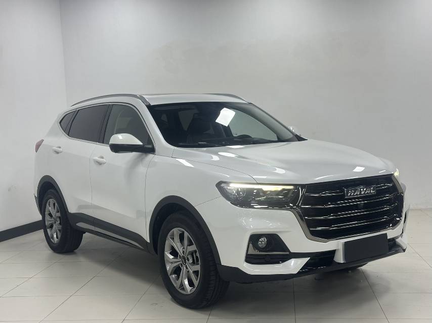 Haval 2021 H6 1.5T National Trend Edition Champion Edition photo 3