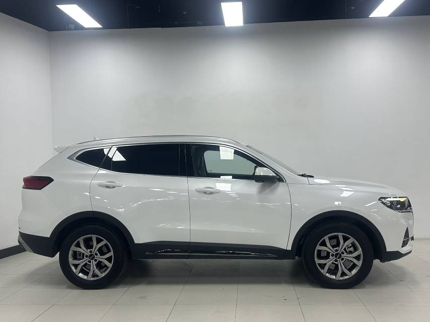 Haval 2021 H6 1.5T National Trend Edition Champion Edition photo 4