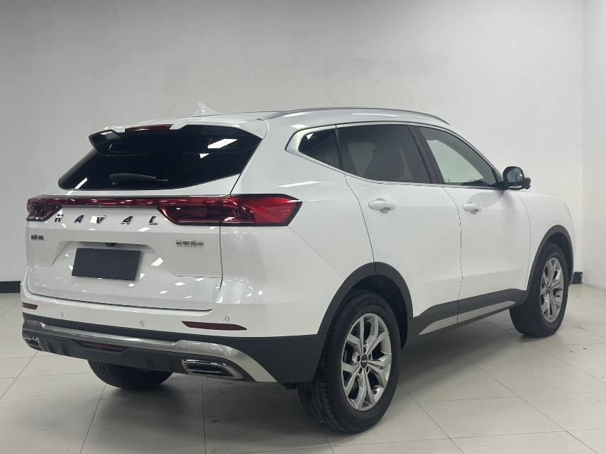 Haval 2021 H6 1.5T National Trend Edition Champion Edition photo 5