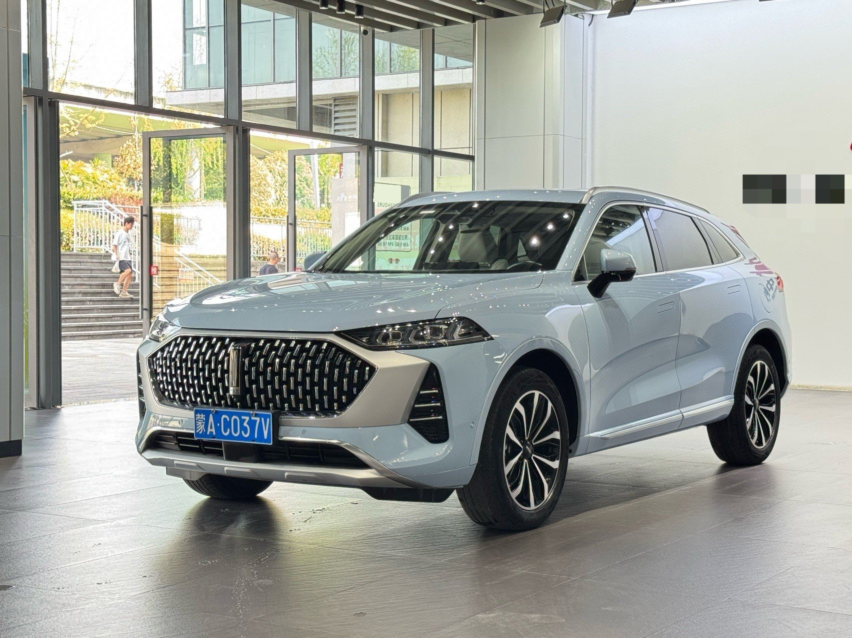 WEY 2021 Mocha 48V 2.0T AWD Special Edition