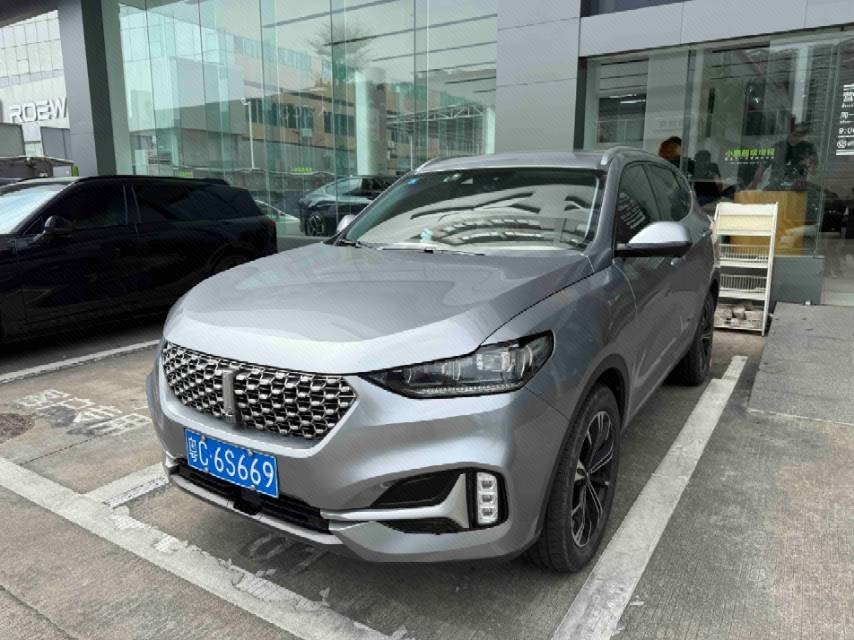 WEY 2020 VV6 2.0T Two-Wheel-Drive Zhixiang+