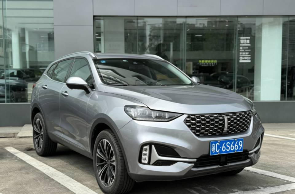 WEY 2020 VV6 2.0T Two-Wheel-Drive Zhixiang+ photo 2