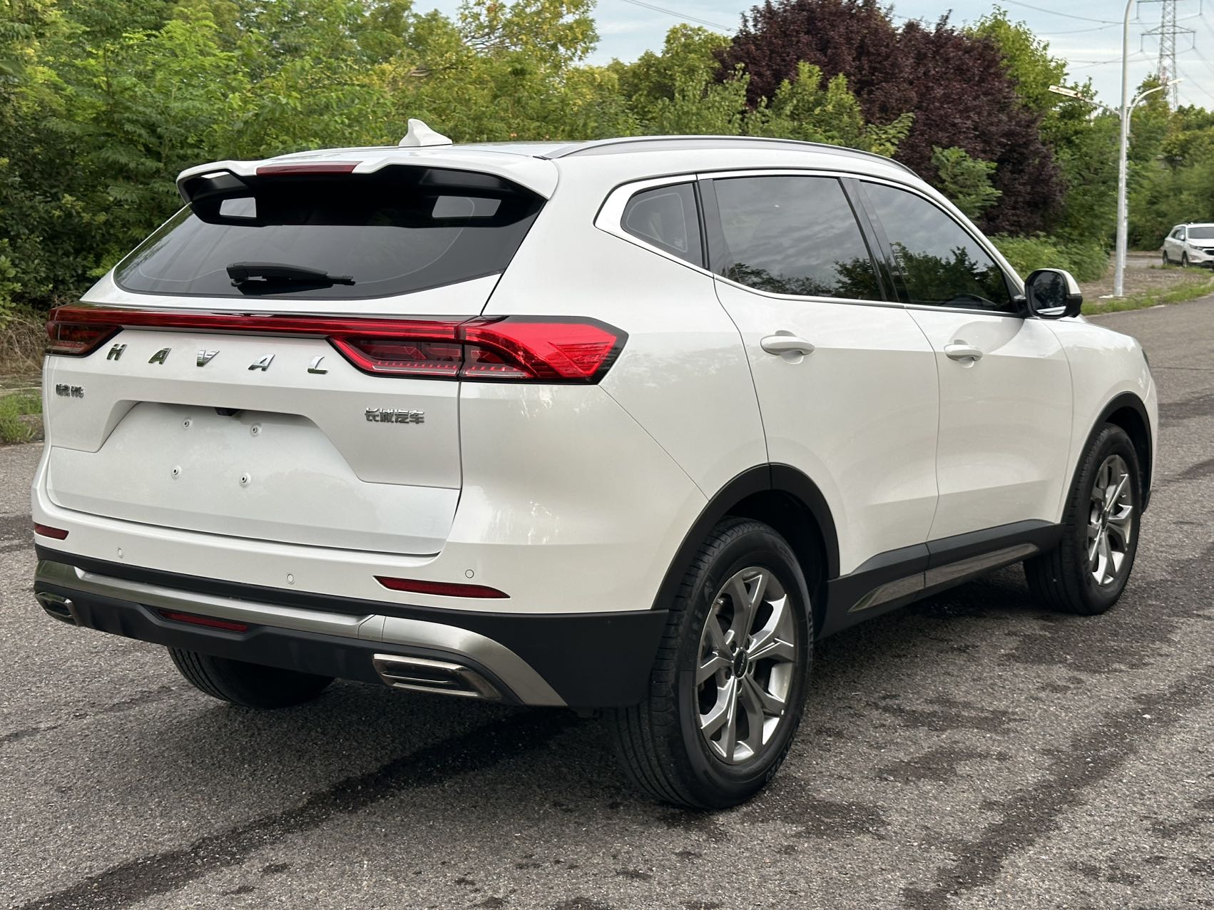 Haval 2021 H6 1.5T National Trend Edition Champion Edition photo 4