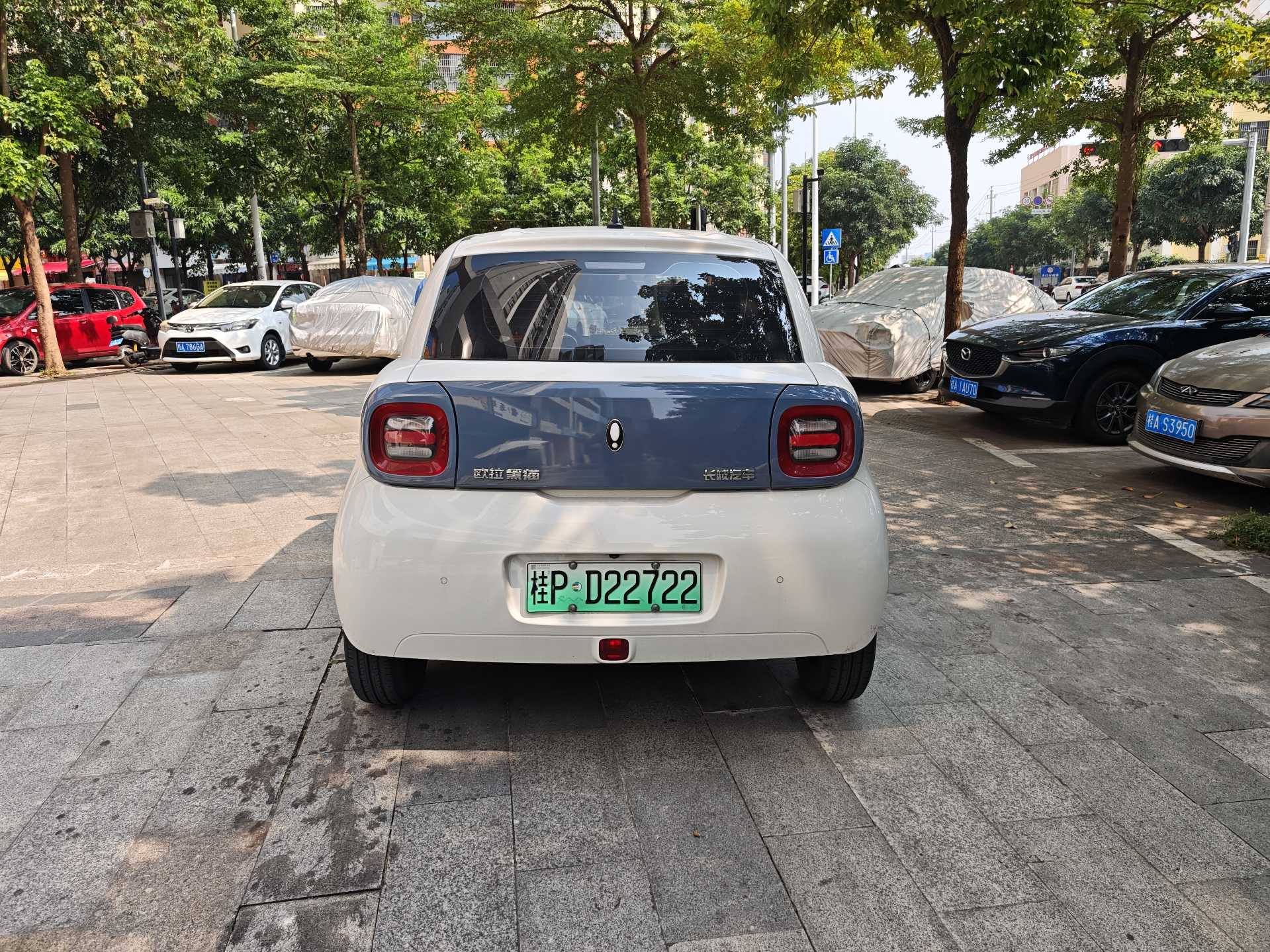 Foto ORA R1 (Black Cat) 301km Base Model 4