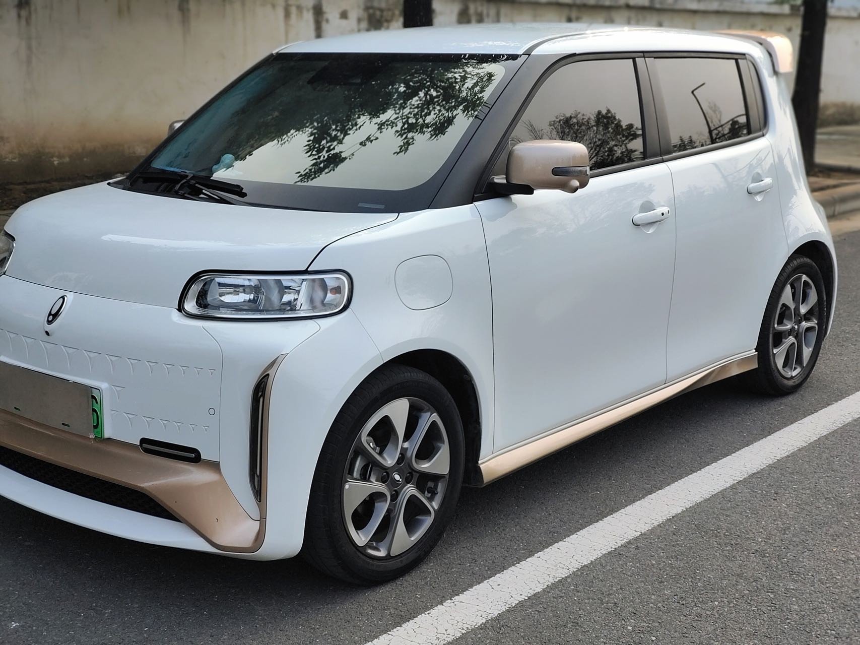 ORA 2022 R2 (White Cat) Little Wildcat Edition 401km Flagship Model photo 3