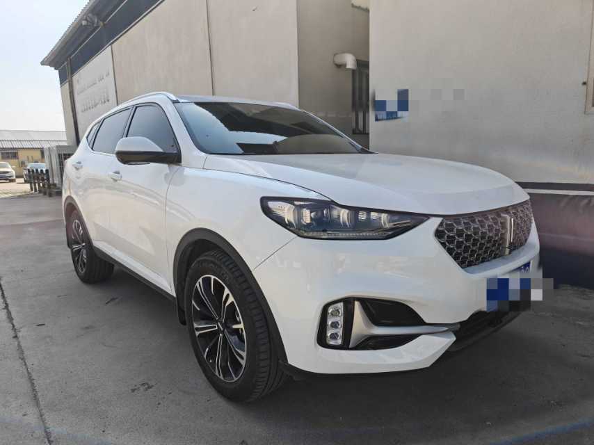 WEY 2021 VV6 2.0T FWD Intelligent Enjoy+ fotoğraf 3