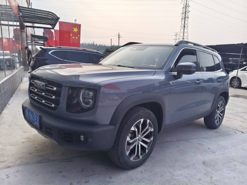 Haval Dargo 2021 Big Dog 1.5T Border Collie “Wang Cai” Edition