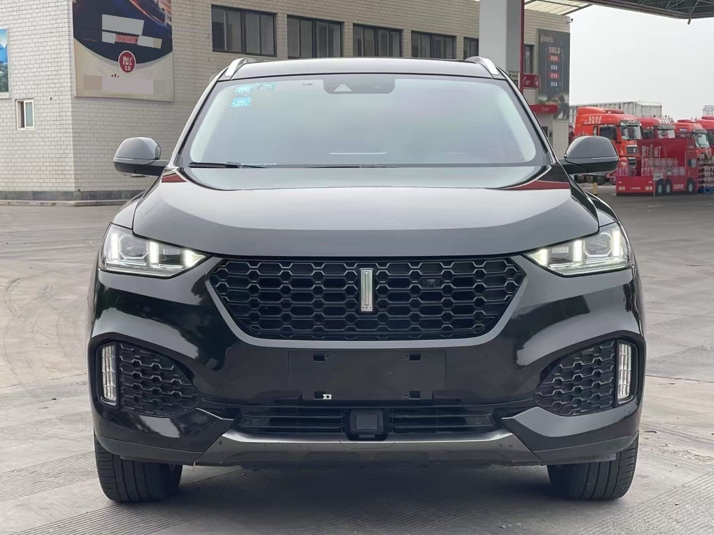 WEY VV6 2.0T Two-Wheel-Drive Flagship Model fotoğraf 2