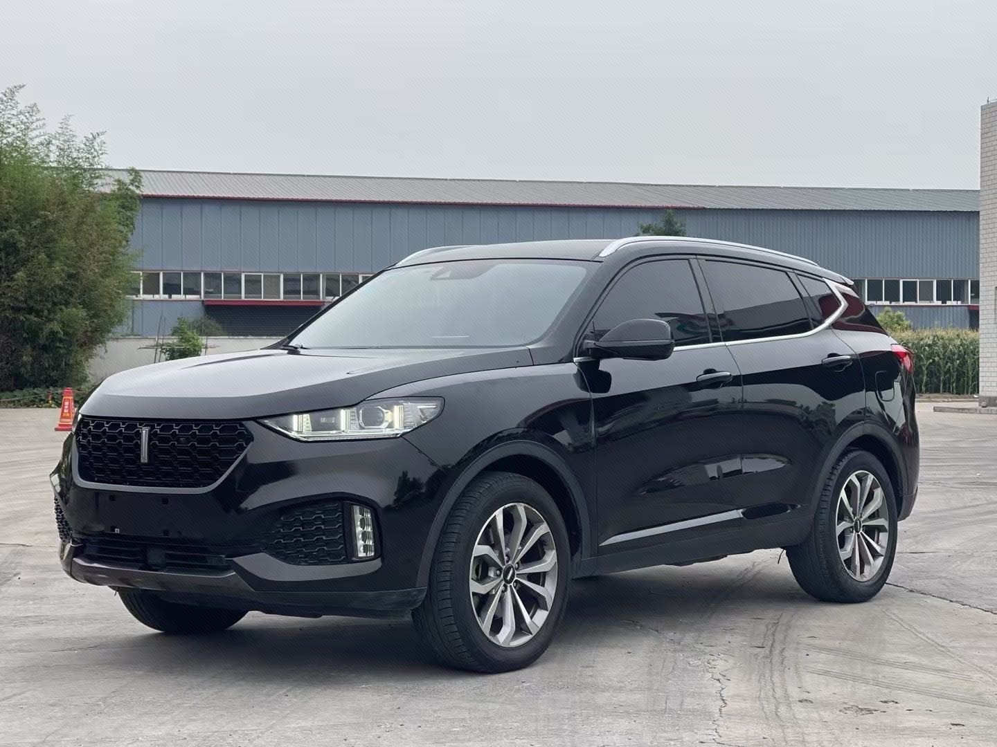WEY 2019 VV6 2.0T Two-Wheel-Drive Flagship Model