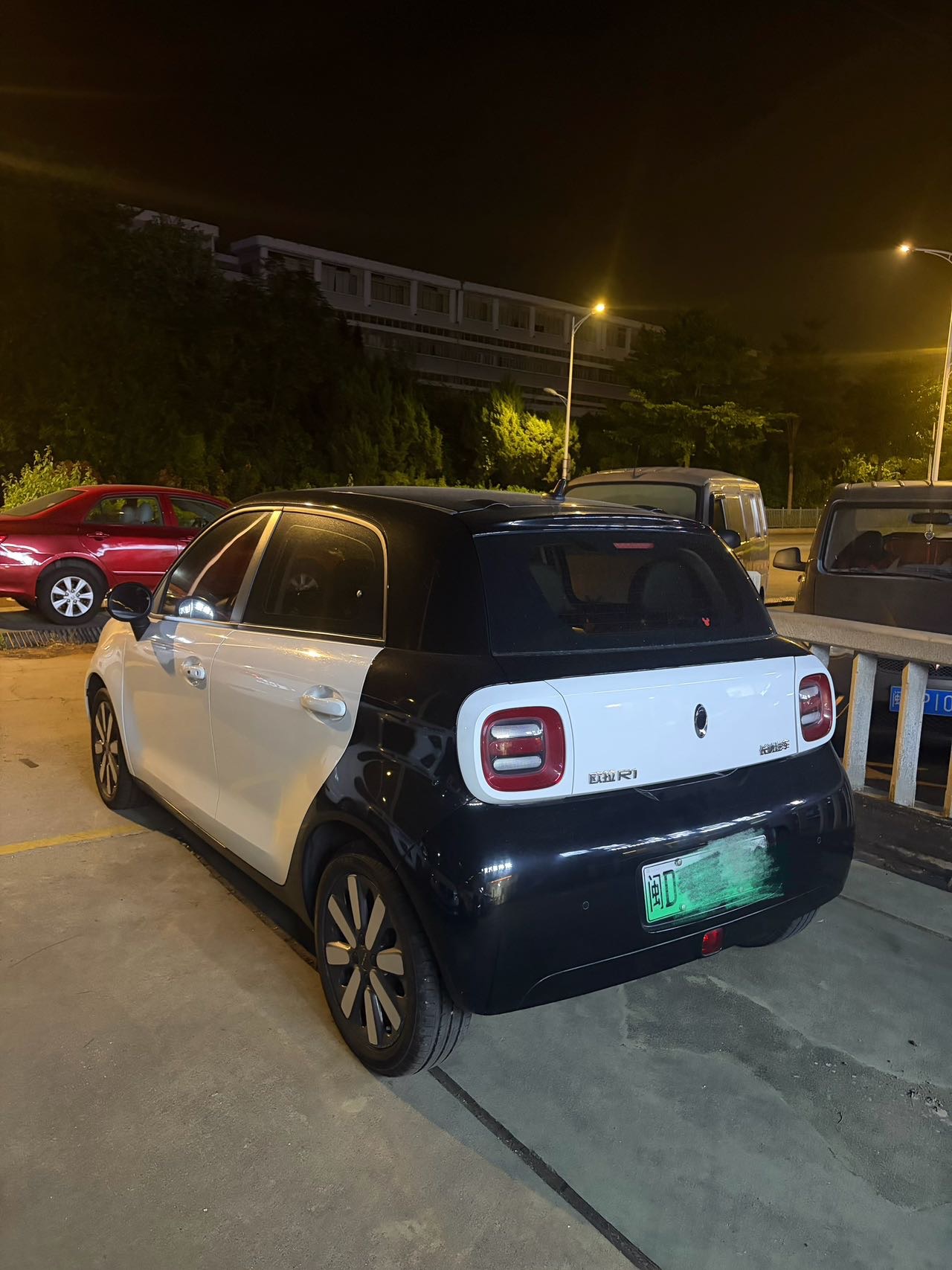 ORA 2019 R1 (Black Cat) 351km Goddess Edition foto 4