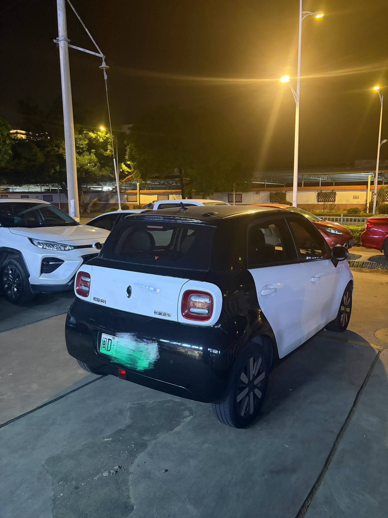 ORA 2019 R1 (Black Cat) 351km Goddess Edition foto 5