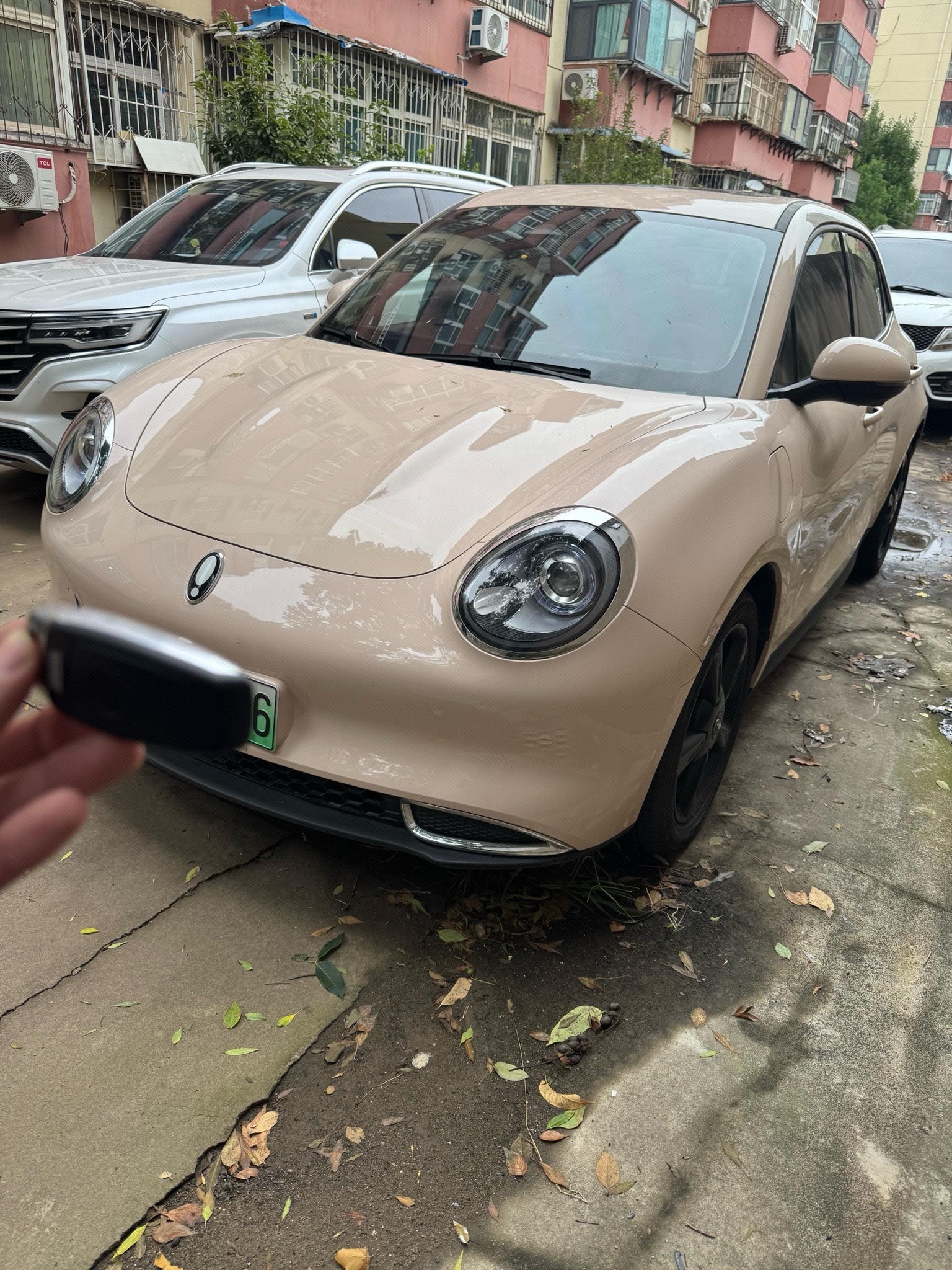 ORA 2024 Good Cat 501km Luxury Model