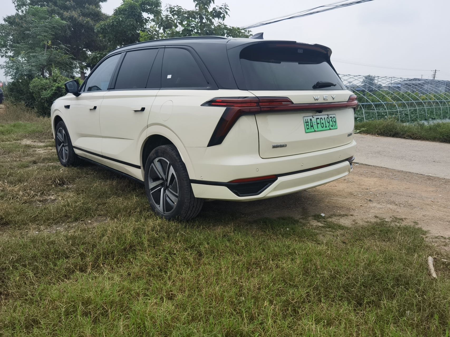 WEY Blue Mountain DHT 2026 Lanshan DHT 1.5T Smart Advanced Edition All-Wheel Drive Max foto 3