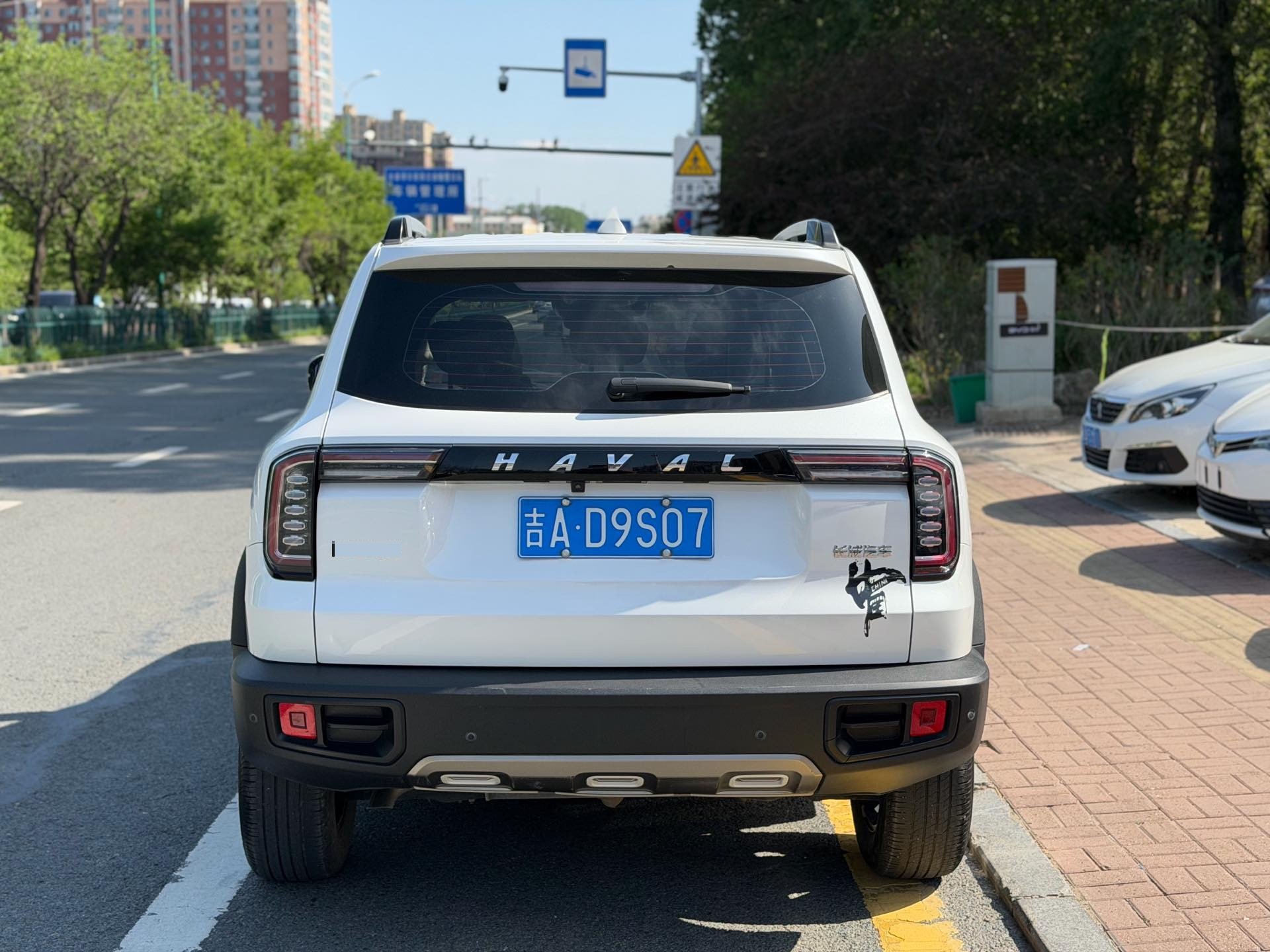 Haval Dargo 2021 Big Dog 1.5T Border Collie “Wang Cai” Edition photo 4