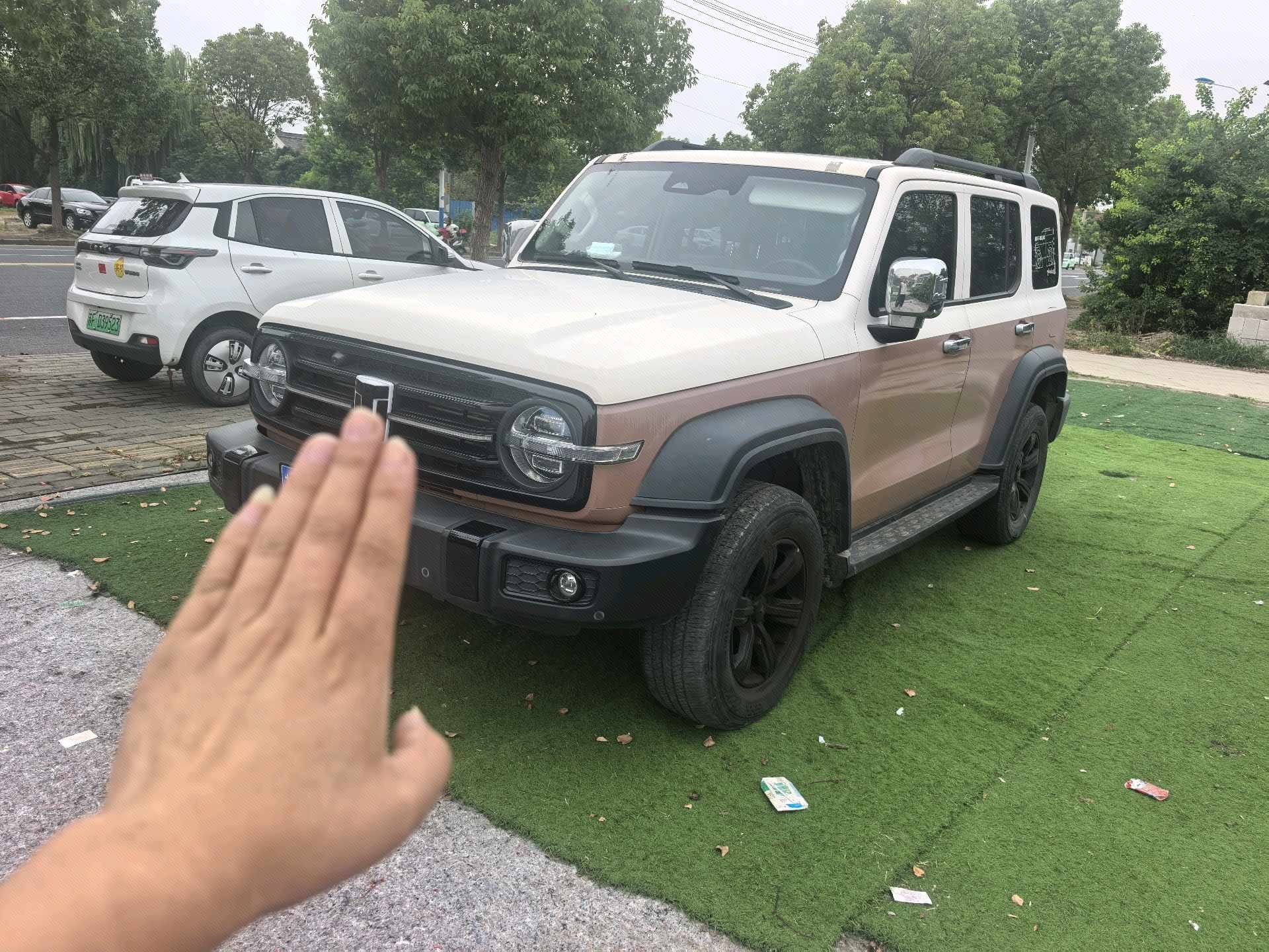 TANK 2021 Tank 300 2.0T Off-Road Edition Conqueror