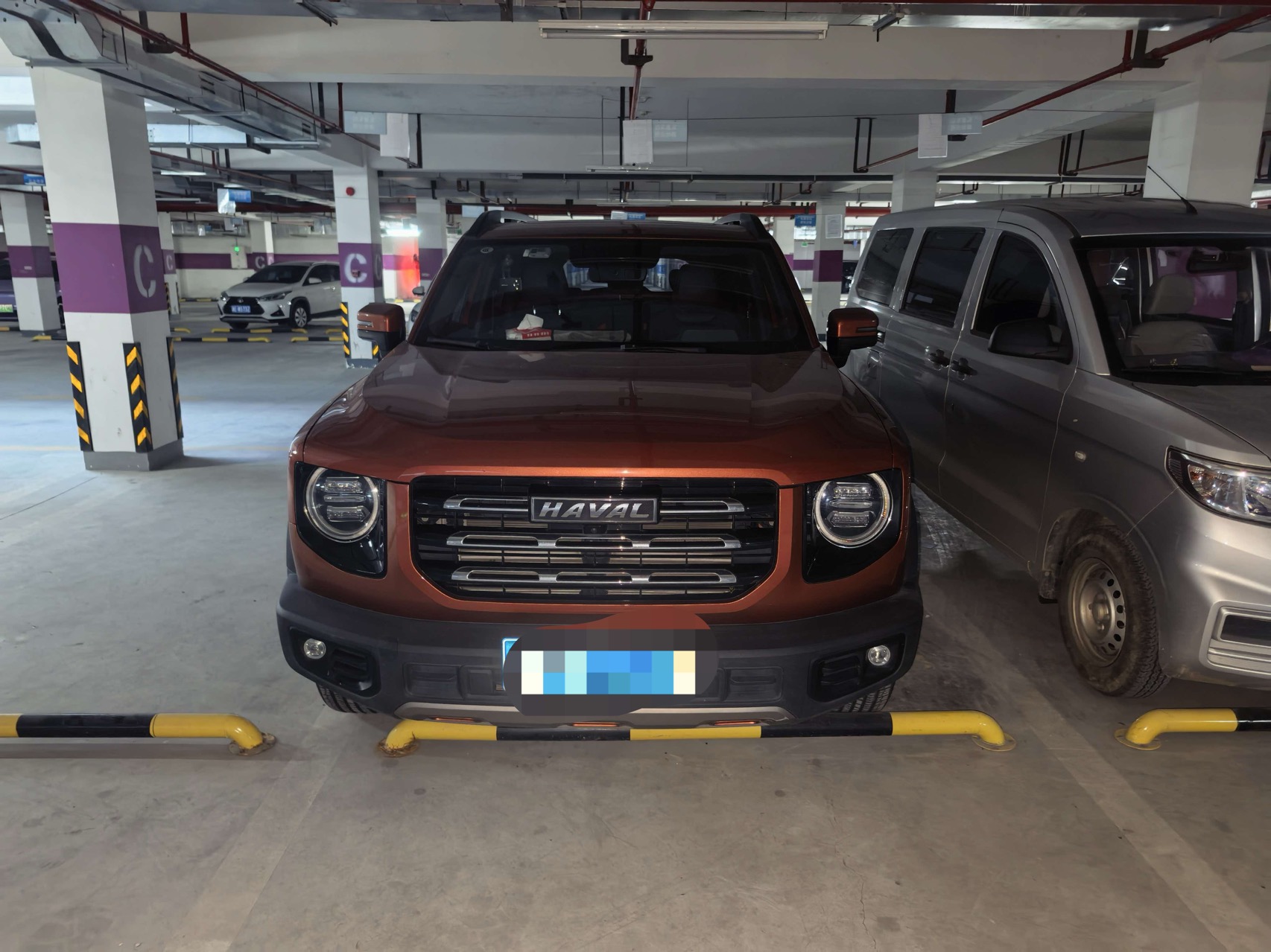 Haval Dargo 2020 Big Dog 1.5T Labrador Edition photo 2