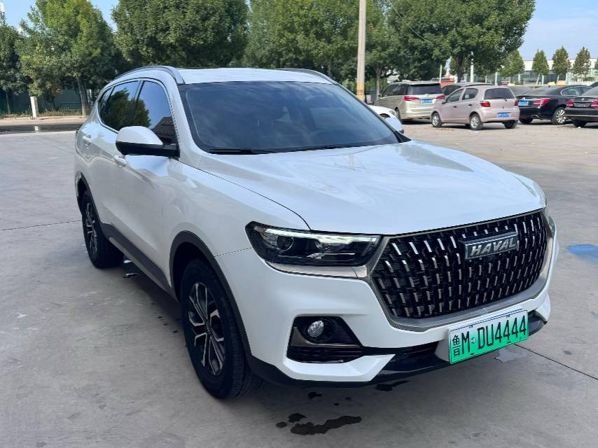 صورة Haval 2023 H6 1.5T National Trend Edition Urban Edition رقم 2
