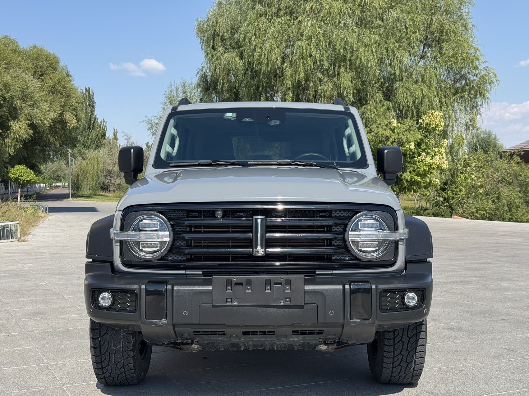 Фото TANK 2021 Tank 300 2.0T Off-Road Edition Conqueror — 2