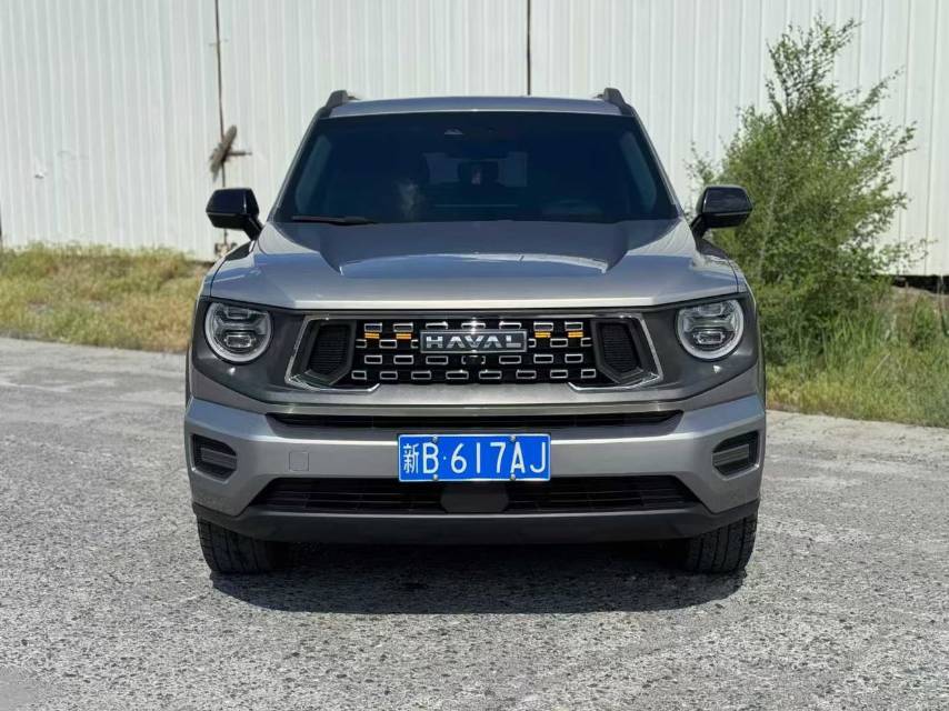 Haval Dargo 2023 Big Dog 2.0T Four-Wheel Drive Trendy Off-Road Plus photo 3