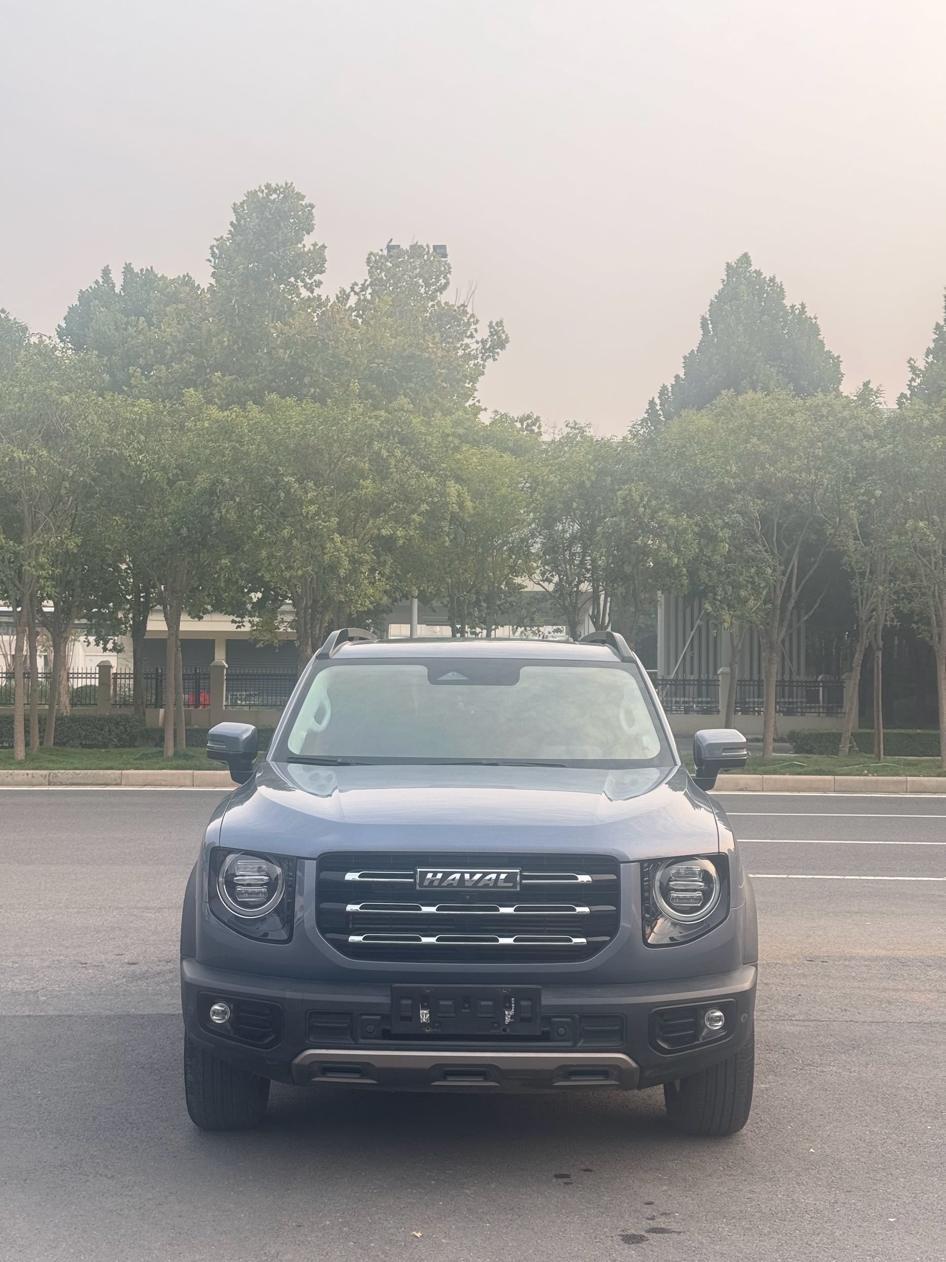 Haval Dargo 2021 Big Dog 1.5T Border Collie “Wang Cai” Edition photo 2