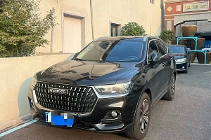 https://img.jytche.com/user/583866/car/image/6acb5472c4bf9/1791710322904_948_app_R_1.28M-604.57K_parse_parse_parse.jpeg?x-oss-process=style/thumbnail