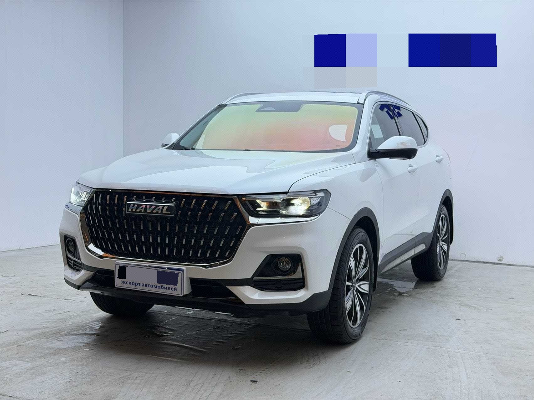 Haval 2023 H6 1.5T National Trend Edition Champion Version