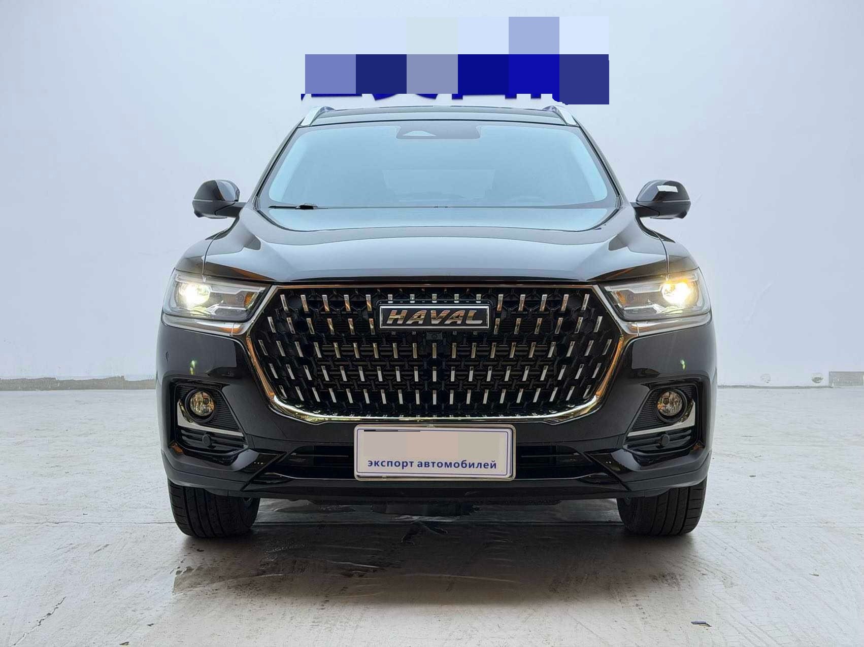 Haval 2023 H6 1.5T National Trend Edition Champion Version photo 2