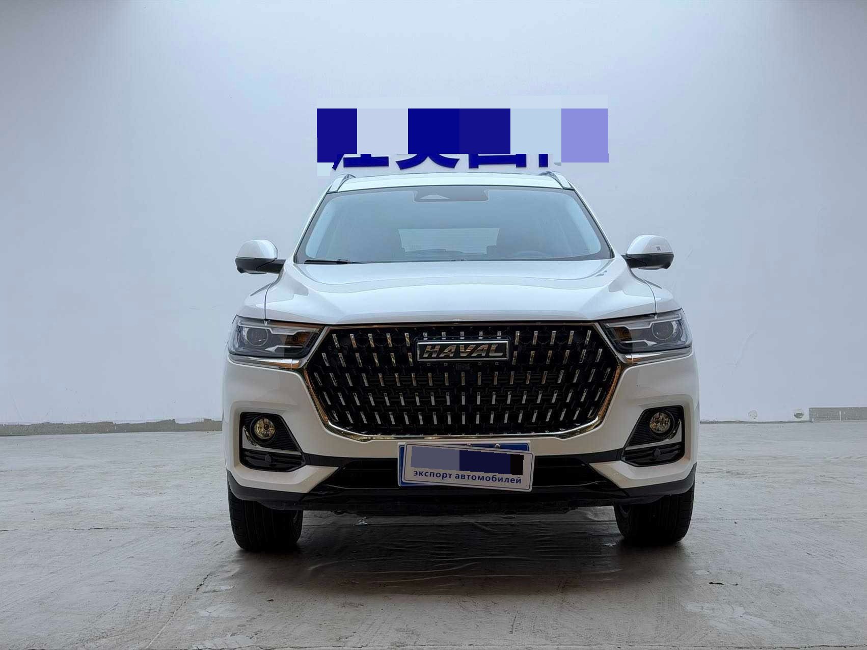 Haval 2023 H6 1.5T National Trend Edition Champion Version fotoğraf 2