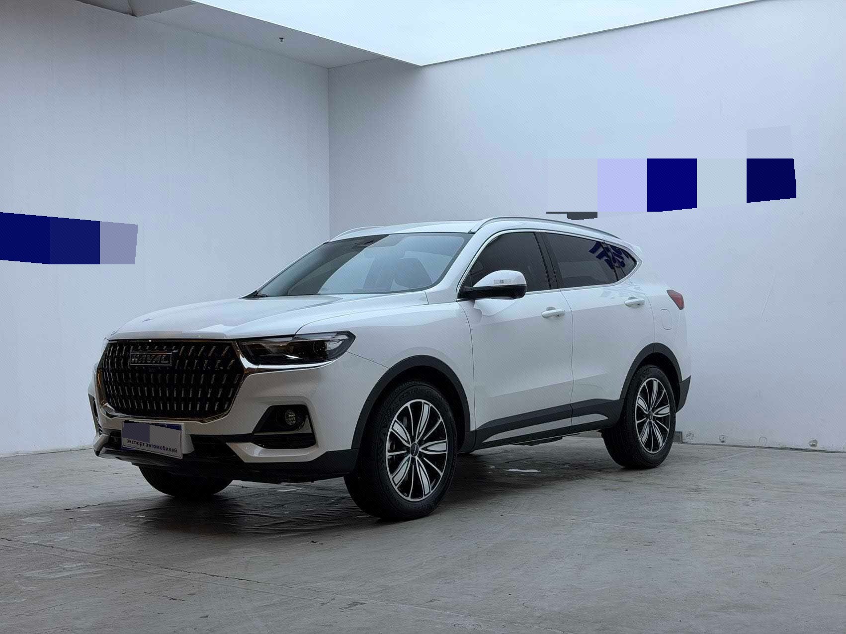 Haval 2023 H6 1.5T National Trend Edition Champion Version