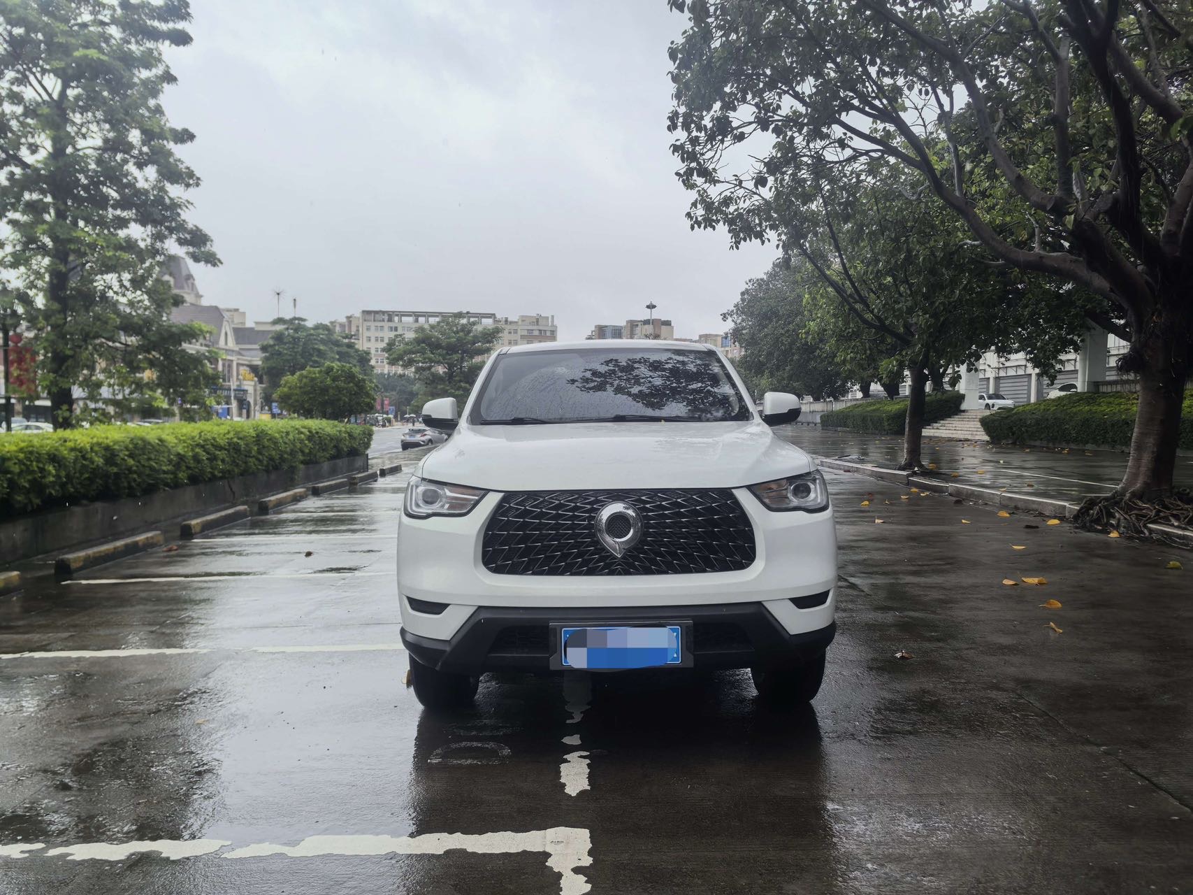Great Wall POER 2021 Cannon 2.0T Commercial Gasoline 2WD Elite Long-Box Version photo 2