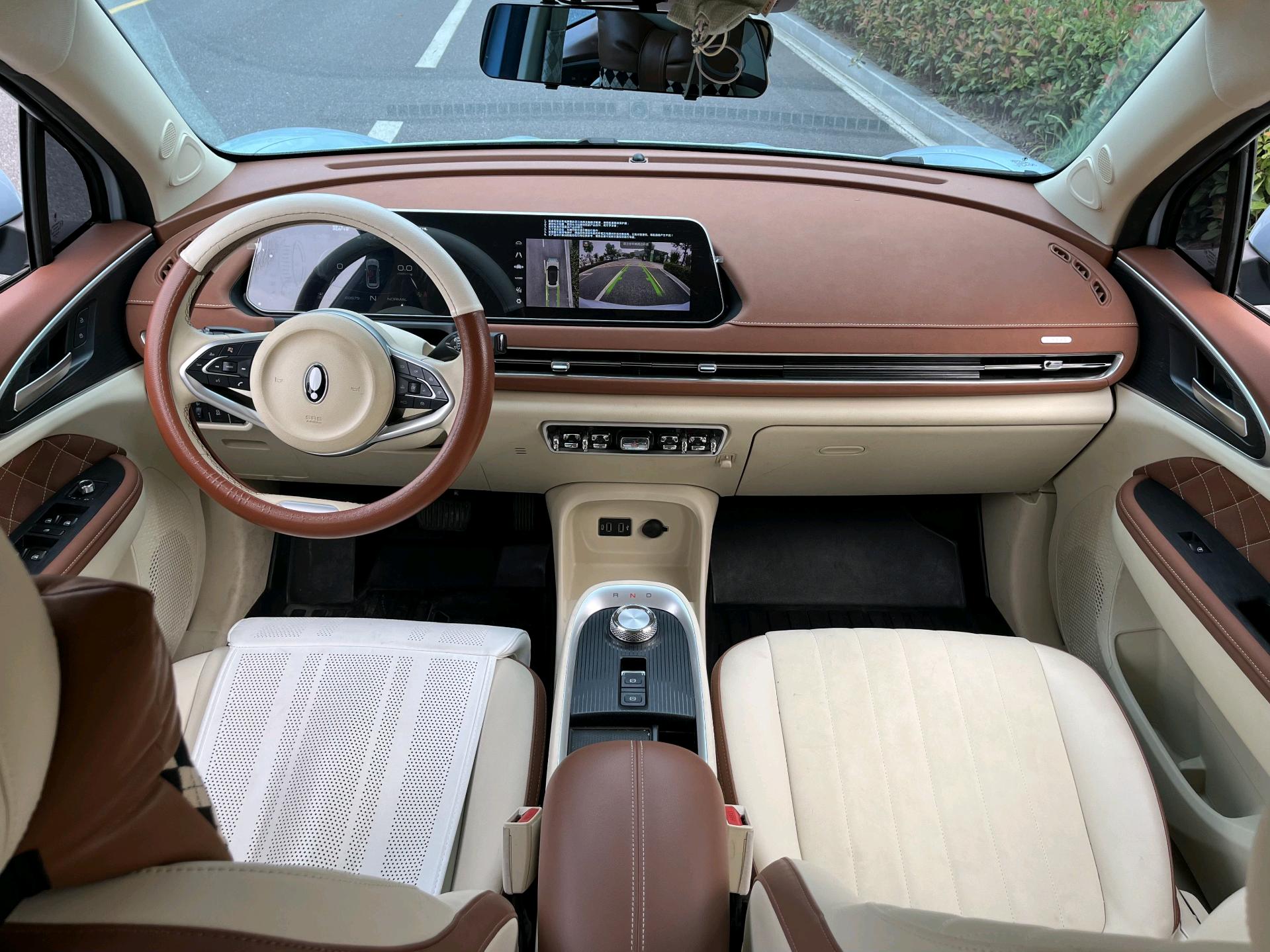 ORA 2022 Good Cat Morandi Edition 400km Standard Range Luxury Model, Ternary Lithium photo 2