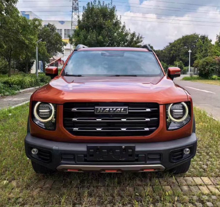 Haval Dargo 2020 Big Dog 1.5T Labrador Edition photo 2