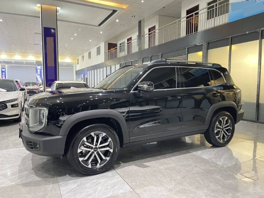 Photo du Haval Dargo 2024 Big Dog 1.5T Border Collie Edition 4