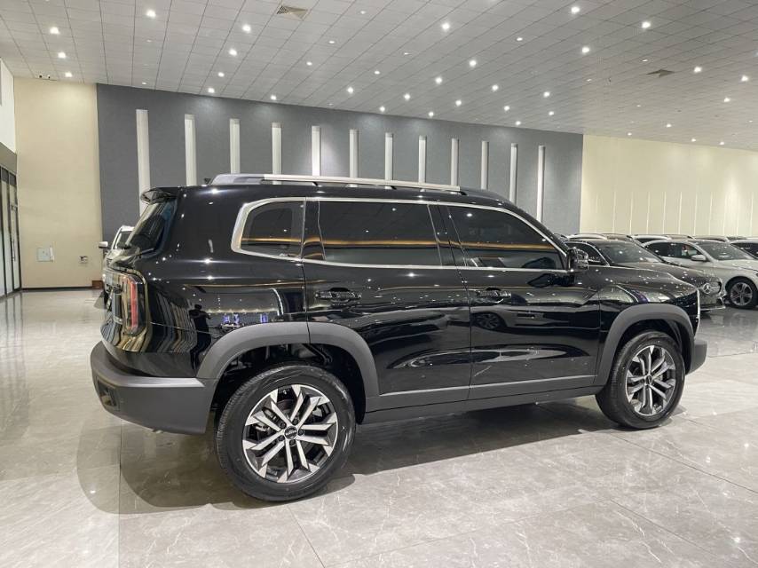 Photo du Haval Dargo 2024 Big Dog 1.5T Border Collie Edition 3