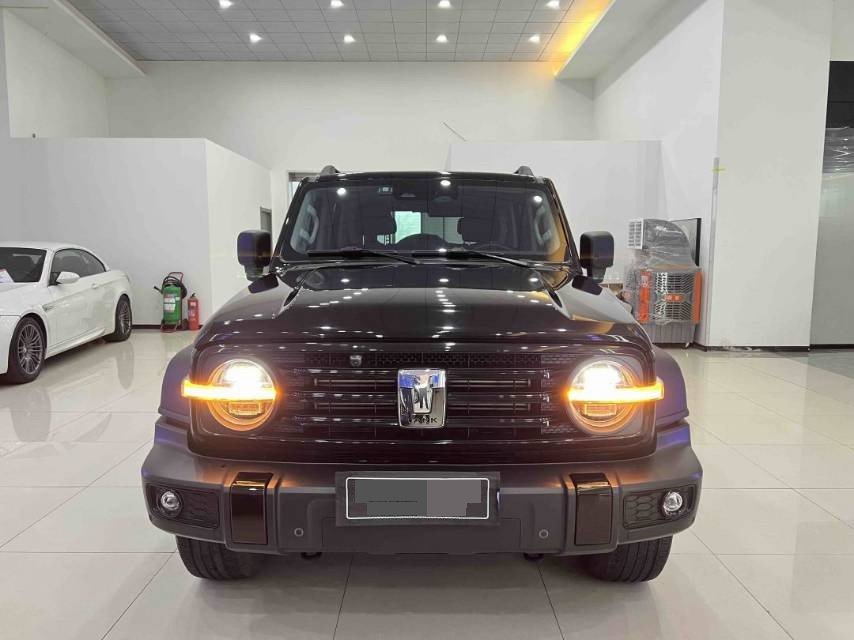 Photo du TANK Tank 300 2.0T Off-Road Edition Conqueror 4