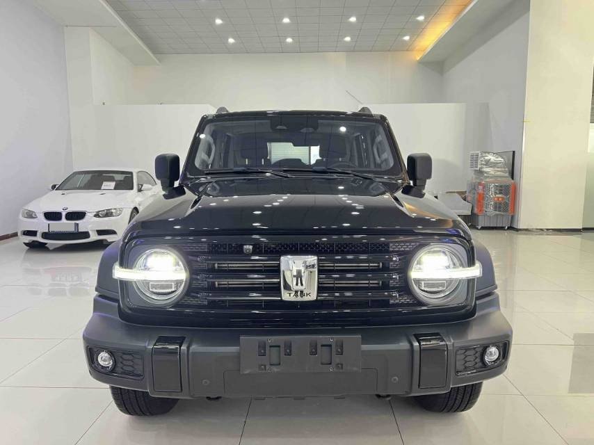 Foto TANK 2021 Tank 300 2.0T Off-Road Edition Challenger 5