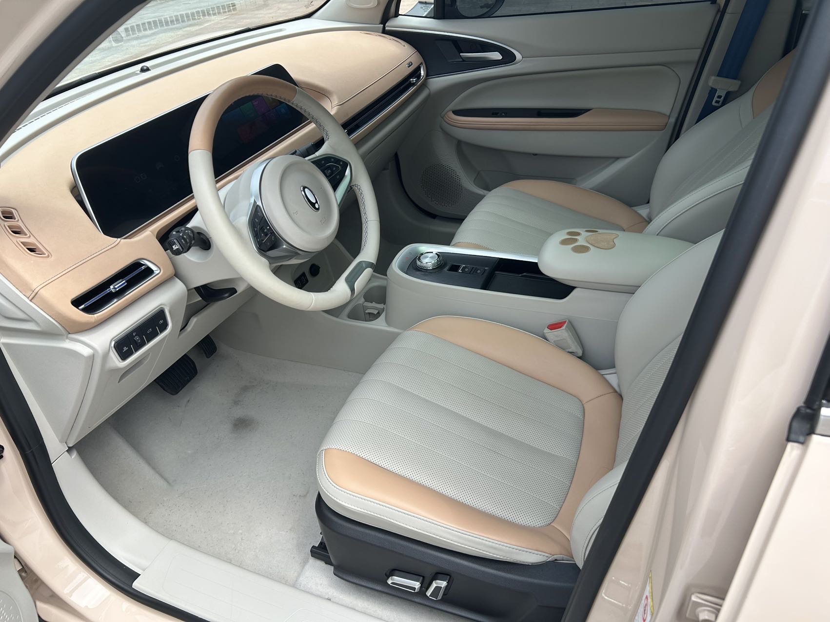 ORA 2022 Good Cat Morandi Edition, 400 km Standard Range, Prestige Model, Ternary Lithium photo 4